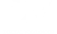 Comapny logo - Digital Volcanoes